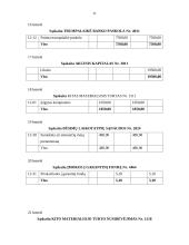 Buhalterinė apskaita: UAB "Romesta" 12 puslapis