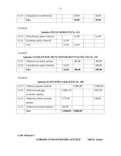 Buhalterinė apskaita: UAB "Romesta" 13 puslapis