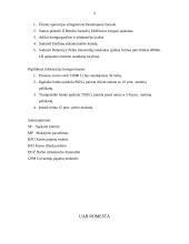 Buhalterinė apskaita: UAB "Romesta" 3 puslapis