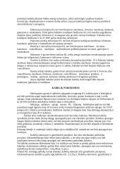 Elektros kabelių linijos 4 puslapis