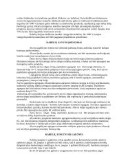 Elektros kabelių linijos 6 puslapis