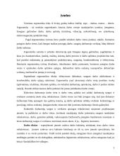Įmonės vadovo darbo vietos projektavimas  3 puslapis