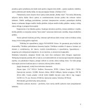 Įmonės vadovo darbo vietos projektavimas  6 puslapis