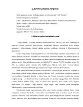 Įmonės vadovo darbo vietos projektavimas  7 puslapis