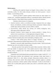 Galvininkystė. Veislė Šarolė 4 puslapis