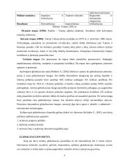 Globalizacijos samprata, sritys, stiprėjimo priežastys, etapai 6 puslapis