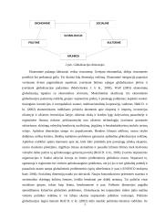 Globalizacijos samprata, sritys, stiprėjimo priežastys, etapai 7 puslapis