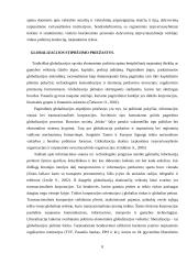 Globalizacijos samprata, sritys, stiprėjimo priežastys, etapai 8 puslapis