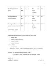 Greitumo lavinimas 2 puslapis