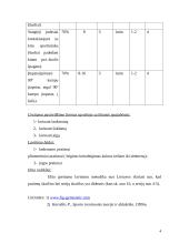 Greitumo lavinimas 4 puslapis