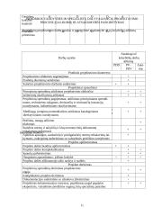 Įmonės aprašymas: elektrotechnikos, nuotolinių ryšių ir inžinerinių sistemų projektavimas UAB "Limatika" 11 puslapis