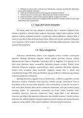 Įmonės bylų nomenklatūra bei bylų sudarymas 6 puslapis