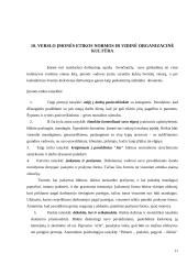 Įmonės veiklos organizavimas: D. Rubino IĮ 11 puslapis