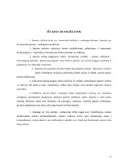 Įmonės veiklos organizavimas: D. Rubino IĮ 13 puslapis