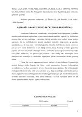Įmonės veiklos organizavimas: D. Rubino IĮ 9 puslapis