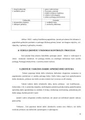 Įmonės veiklos organizavimas: D. Rubino IĮ 10 puslapis