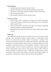 Impulsinio maitinimo šaltinio maketas 2 puslapis