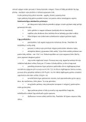 Individualios sodybos sklypo apželdinimas 11 puslapis