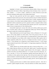 Individualios sodybos sklypo apželdinimas 12 puslapis