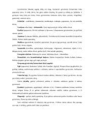 Individualios sodybos sklypo apželdinimas 14 puslapis
