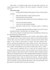 Individualios sodybos sklypo apželdinimas 16 puslapis