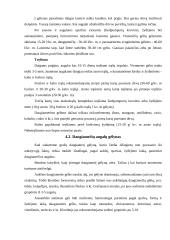 Individualios sodybos sklypo apželdinimas 18 puslapis