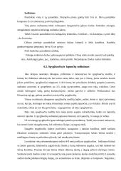 Individualios sodybos sklypo apželdinimas 20 puslapis