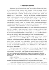 Individualios sodybos sklypo apželdinimas 4 puslapis