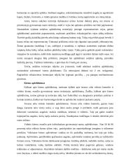 Individualios sodybos sklypo apželdinimas 5 puslapis