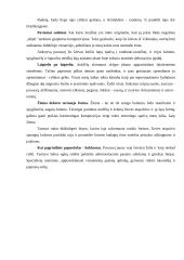 Individualios sodybos sklypo apželdinimas 7 puslapis