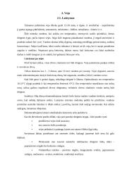 Individualios sodybos sklypo apželdinimas 8 puslapis