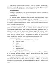 Individualios sodybos sklypo apželdinimas 9 puslapis