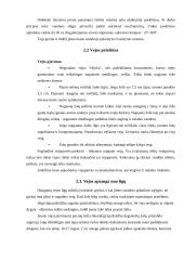 Individualios sodybos sklypo apželdinimas 10 puslapis