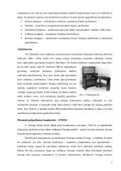 Kompiuteris ir kompiuterinė grafika: atsiradimas ir raida 5 puslapis