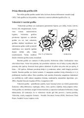 Kompiuteris ir kompiuterinė grafika: atsiradimas ir raida 8 puslapis