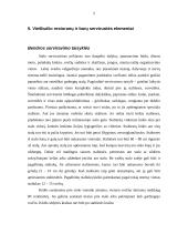 Visos dienos maitinimo organizavimas 2 puslapis