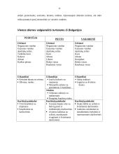 Visos dienos maitinimo organizavimas 11 puslapis