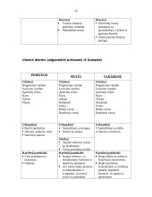 Visos dienos maitinimo organizavimas 12 puslapis