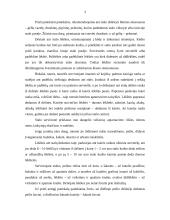 Visos dienos maitinimo organizavimas 3 puslapis