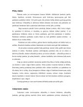 Visos dienos maitinimo organizavimas 5 puslapis