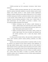 Visos dienos maitinimo organizavimas 8 puslapis