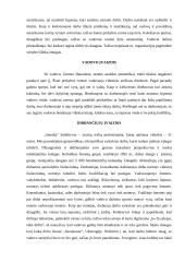 Organizacijos įvaizdis: prekybos centras UAB "Senukai" 5 puslapis
