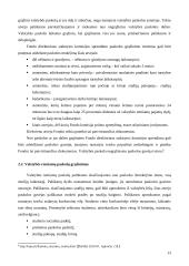 Paskolų studentams analizė Lietuvoje 12 puslapis