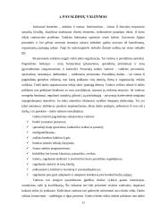 Planavimas ir kontrolė 11 puslapis