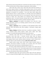 Planavimas ir kontrolė 12 puslapis