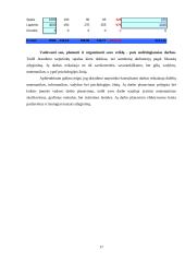 Planavimas ir kontrolė 17 puslapis