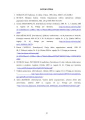 Planavimas ir kontrolė 19 puslapis