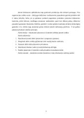 Planavimas ir kontrolė 3 puslapis