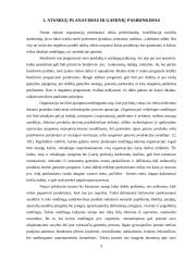 Planavimas ir kontrolė 4 puslapis