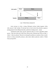 Planavimas ir kontrolė 10 puslapis